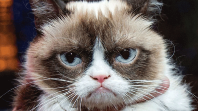 Grumpy Cat 4