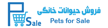 Uber Menu Pets for Sale Horizontal